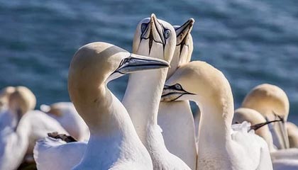 开云官网-蔚山主帅：从不利处境中走出来 没考虑会输给申花